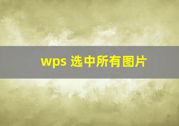 wps 选中所有图片